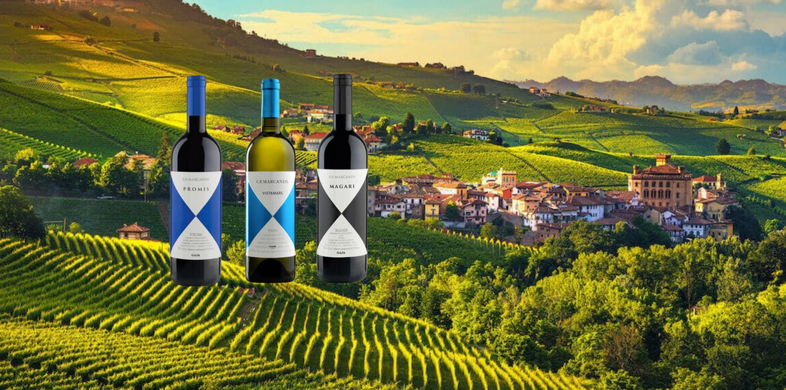 Discovering the Beauty of Gaja Ca'Marcanda Wines