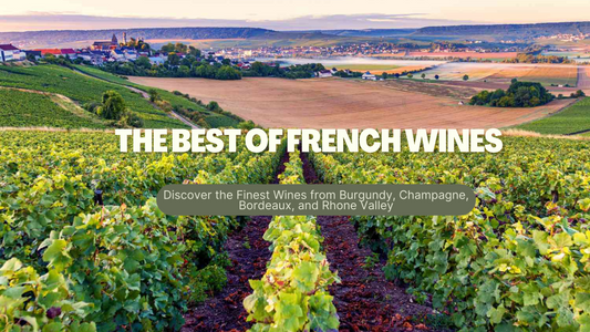 The Best of French Wines: Discover the Finest Wines from Burgundy, Champagne, Bordeaux, and Rhone Valley