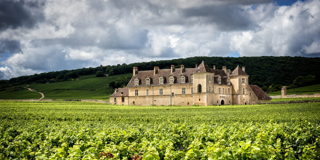 French Wine Delights: Explore the Exquisite Selection